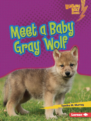 cover image of Meet a Baby Gray Wolf